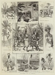 Coloured Life in Jamaica